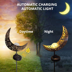 Daze Solar Outdoor Lighting