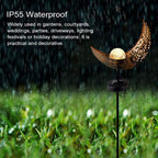 Daze Solar Outdoor Lighting