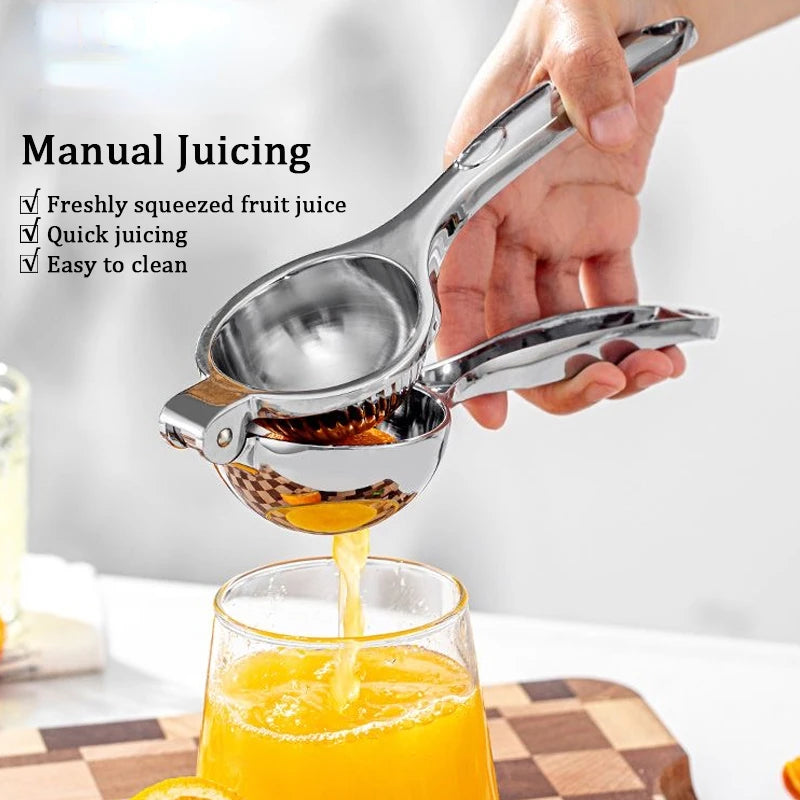 Avanti Stainless Steel Juicer