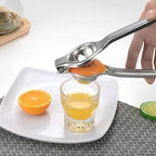Avanti Stainless Steel Juicer