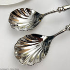 Shelly Stainless Steel Serving Spoon