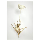 Shop 0 10x15cm 4x6inch / B Biarres Canvas Mademoiselle Home Decor