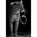 Shop 0 K / 21x30cm  8x12inch Madagascar Canvas Mademoiselle Home Decor