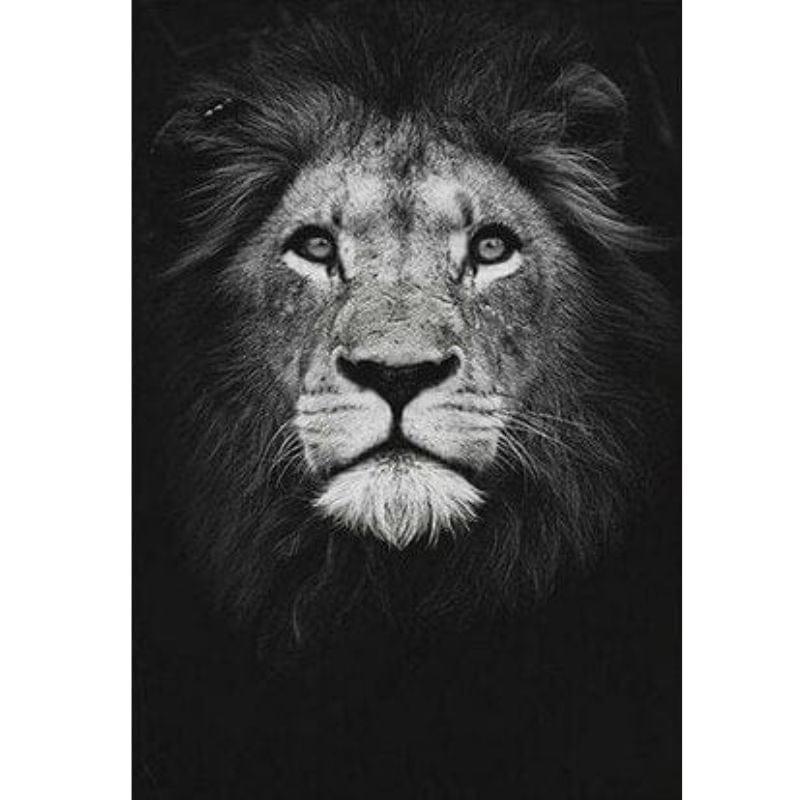 Shop 0 L / 21x30cm  8x12inch Madagascar Canvas Mademoiselle Home Decor