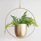 Shop 100001806 B Niko Hanging Pot Mademoiselle Home Decor