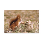 Shop 0 L / 13x18cm No frame Autumn Landscape Picture Canvas Painting Wall Art Poster Nature Scenery Animal Print for Modern Home Decor Living Room Design Mademoiselle Home Decor