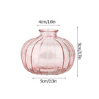 Shop 0 Glass Vase S21 Transparent Glass Vases for Plant Bottle Nordic Flower Vase Hydroponic Terrarium Container Flower Table Pot ваза для цветов Mademoiselle Home Decor