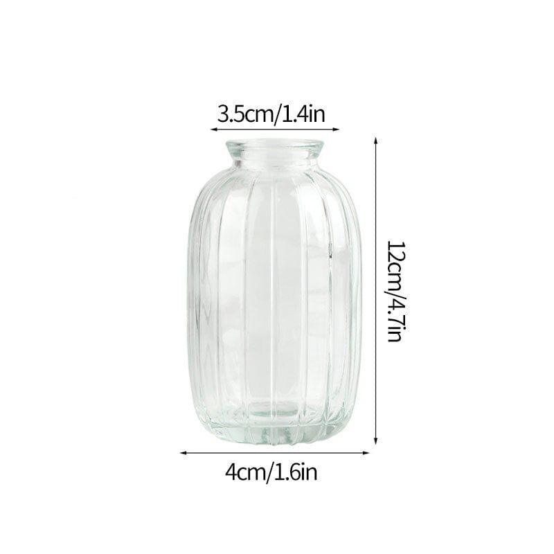 Shop 0 Glass Vase S17 Transparent Glass Vases for Plant Bottle Nordic Flower Vase Hydroponic Terrarium Container Flower Table Pot ваза для цветов Mademoiselle Home Decor