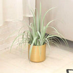 Shop 0 Tiana Plant Stand Mademoiselle Home Decor